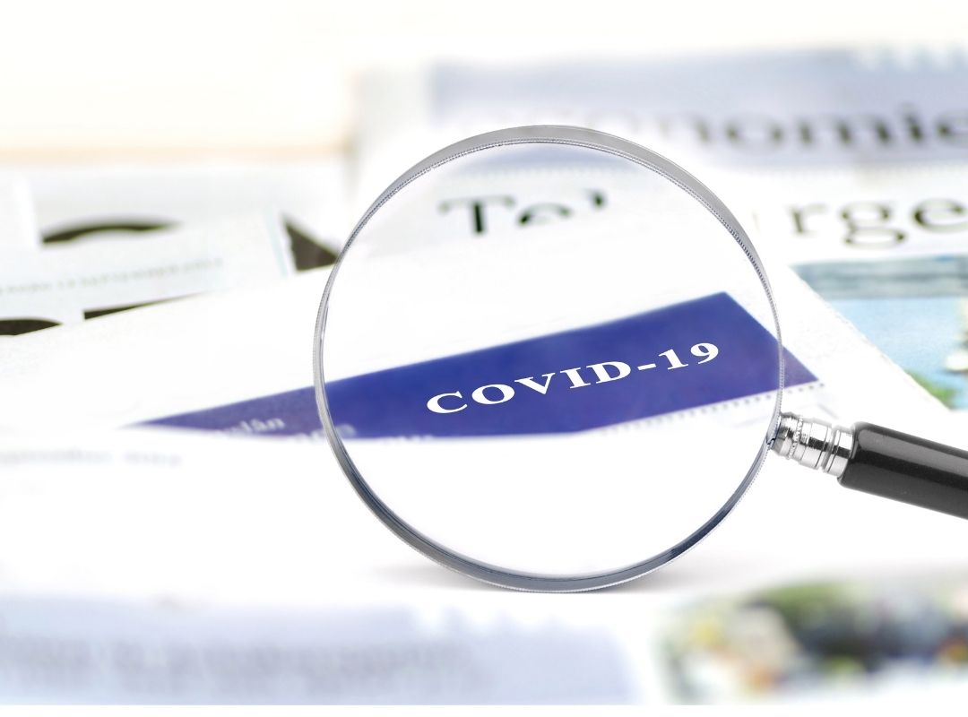 Fraud in times of Covid